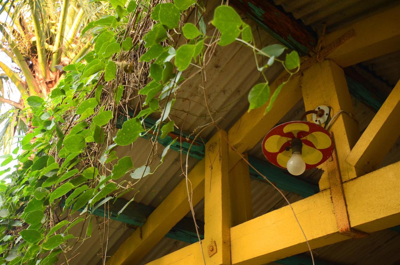 Sky Gift Traditional Farm B&B Dongshi  Ngoại thất bức ảnh