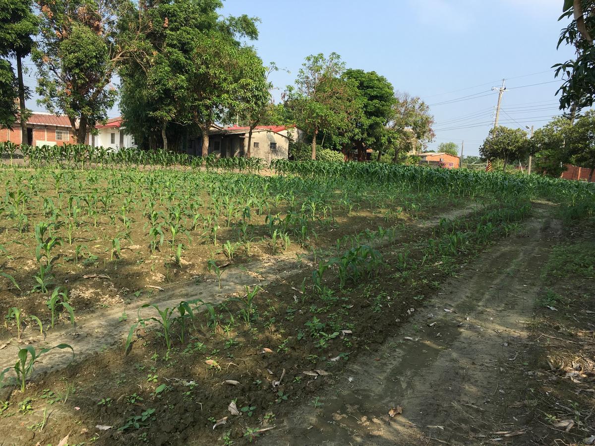 Sky Gift Traditional Farm B&B Dongshi  Ngoại thất bức ảnh