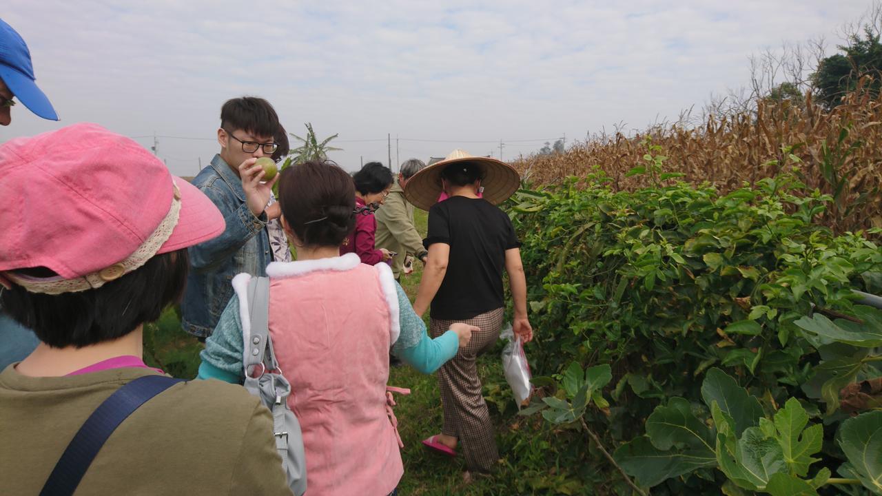 Sky Gift Traditional Farm B&B Dongshi  Ngoại thất bức ảnh