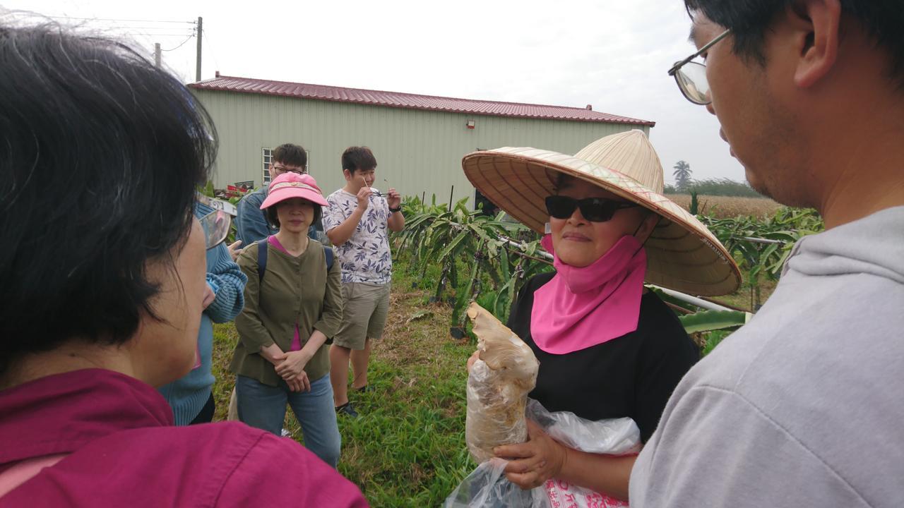 Sky Gift Traditional Farm B&B Dongshi  Ngoại thất bức ảnh